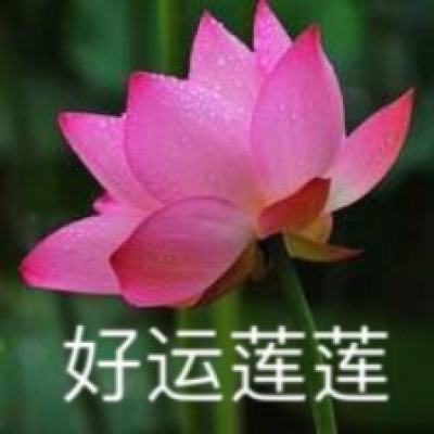 极限烧脑之旅免费版(暂未上线)v1.3.3 安卓版